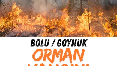 göynük orman yangını