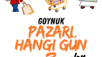 göynük pazarı hangi gün