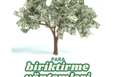 para biriktirme