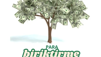 para biriktirme