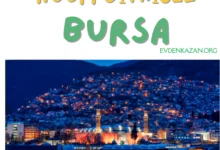 bursa