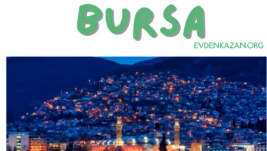 bursa