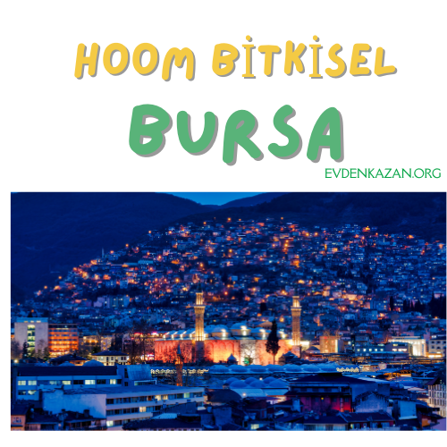 bursa