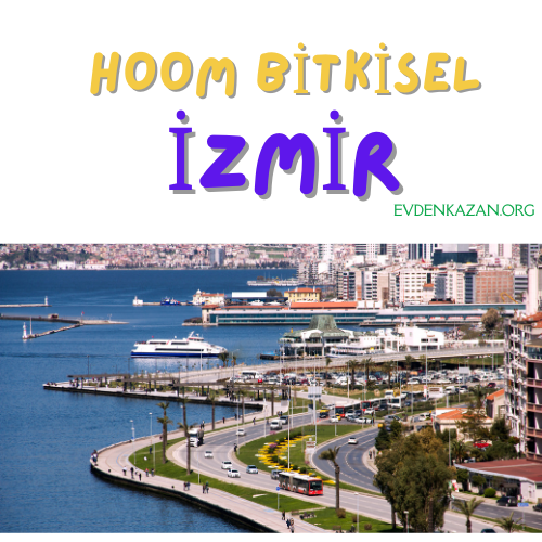 i̇zmir