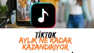 tik tok aylik ne kadar kazandiriyor