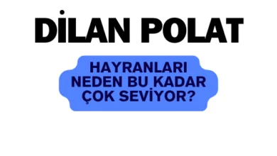 dilan polat hayranları